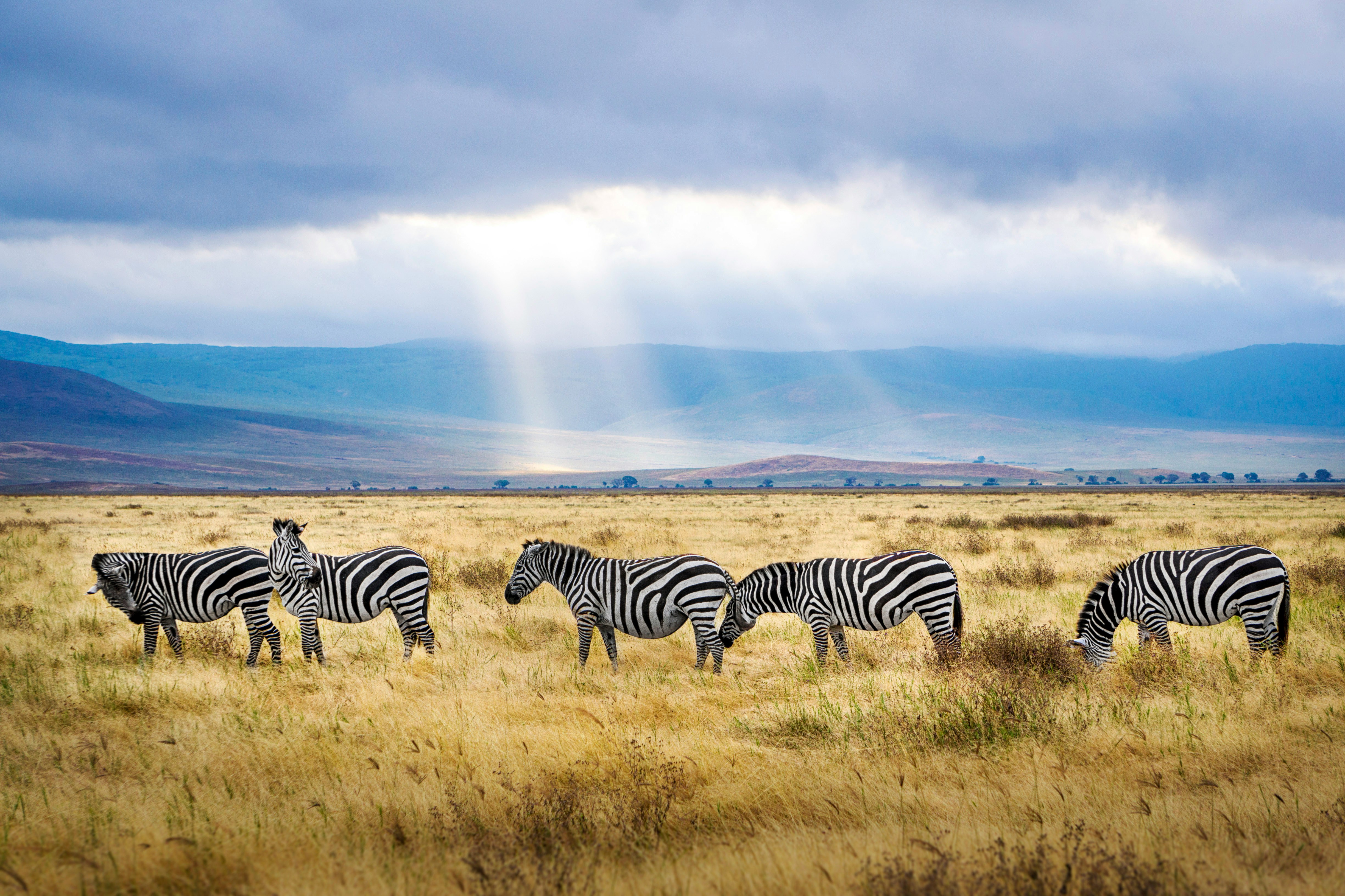 Ngorongoro National Park