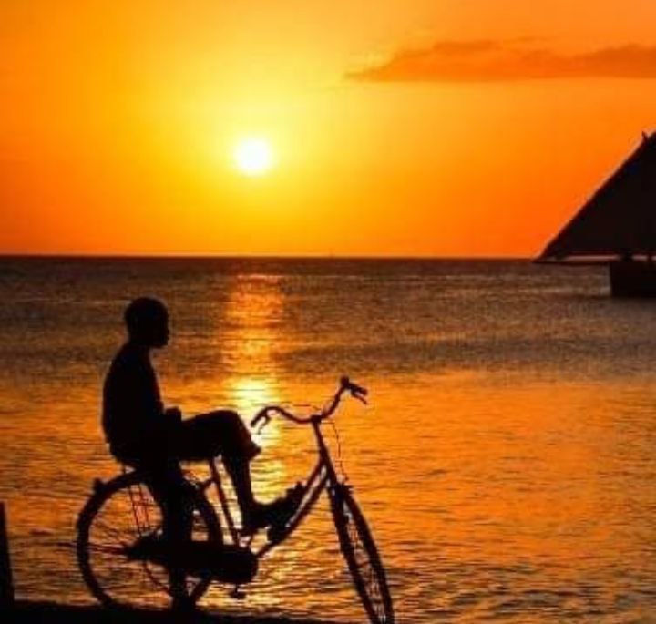 Sunset Cruise